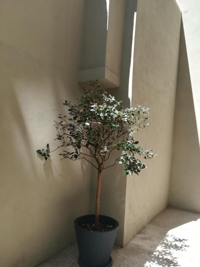 Apartmán Amaoporto - Se Exteriér fotografie